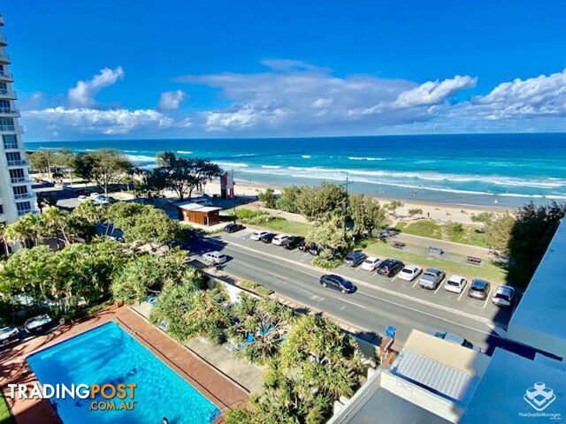 ID:21137762/52 The Esplanade Surfers Paradise QLD 4217