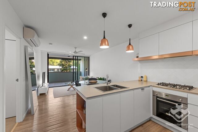 ID:21197230 88 Waldheim Street Annerley QLD 4103 - photo 3 of 16