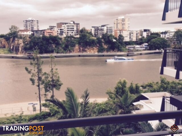 ID:3723949/1 Holman Street KANGAROO POINT QLD 4169