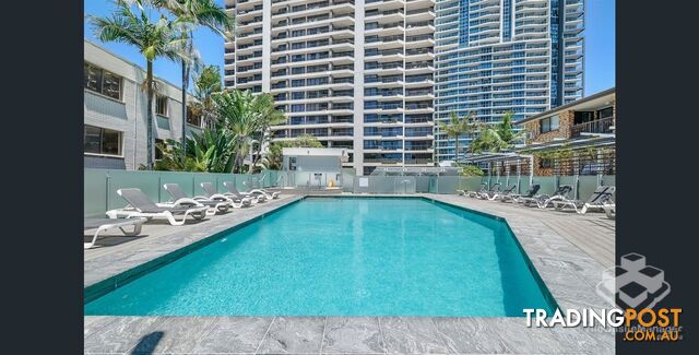 ID:21202358 5 Enderley Avenue Surfers Paradise QLD 4217