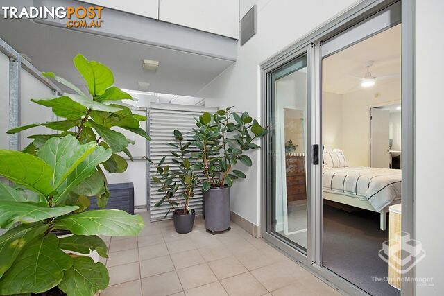 ID:21194568 5 Alexandra Street Paddington QLD 4064