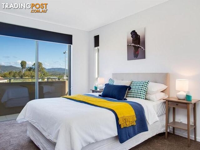 ID:21197360 15 Laver Drive Robina QLD 4226 - photo 5 of 9