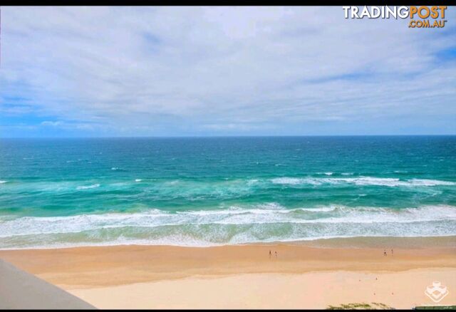 ID:21136891/114 Esplanade Surfers Paradise QLD 4217