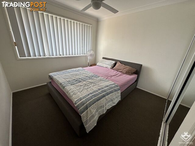 4/97-137 Edmund Rice Drive Southport QLD 4215