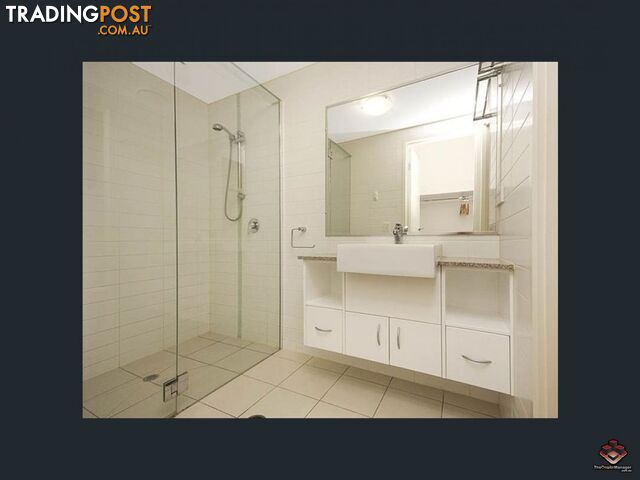 ID:3896116/95 Clarence Road Indooroopilly QLD 4068