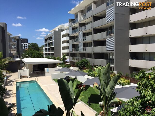 ID:3896116/95 Clarence Road Indooroopilly QLD 4068