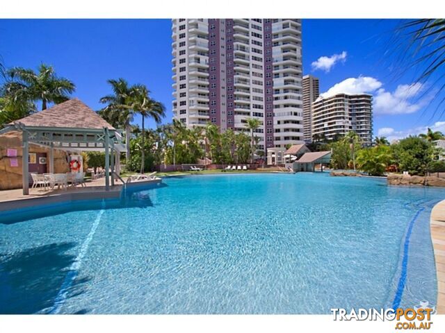 ID:3842114/12 Commodore Drive Surfers Paradise QLD 4217