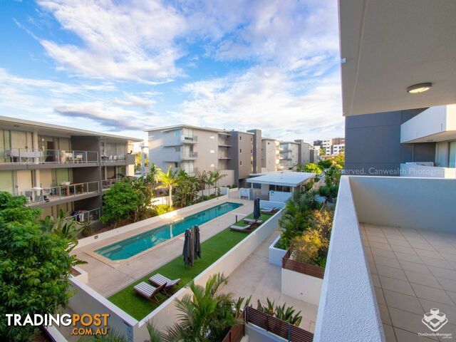 ID:3881612/95 Clarence Road Indooroopilly QLD 4068