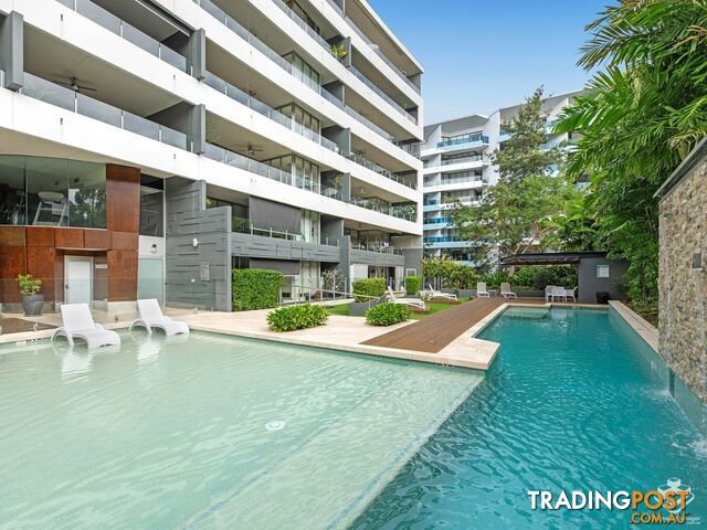 14/37 Duncan ST West End QLD 4101