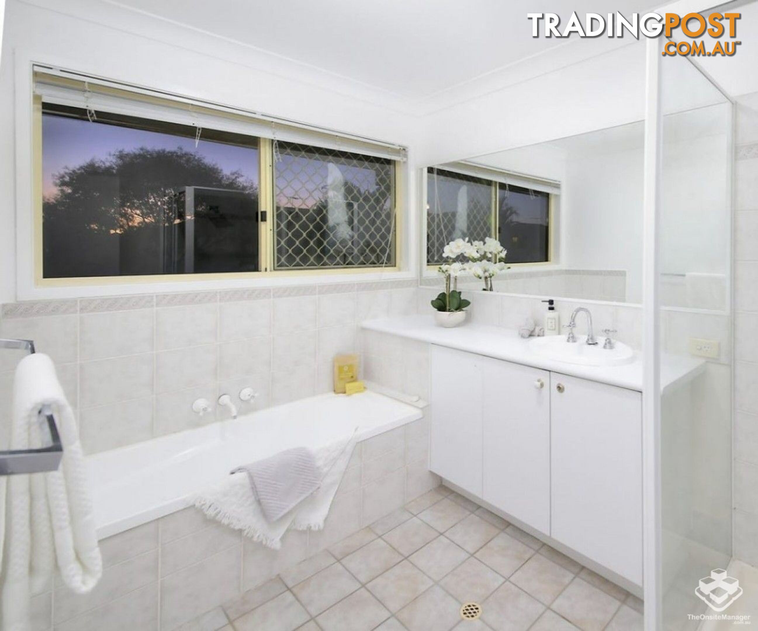 62 Park Avenue Sunnybank Hills QLD 4109