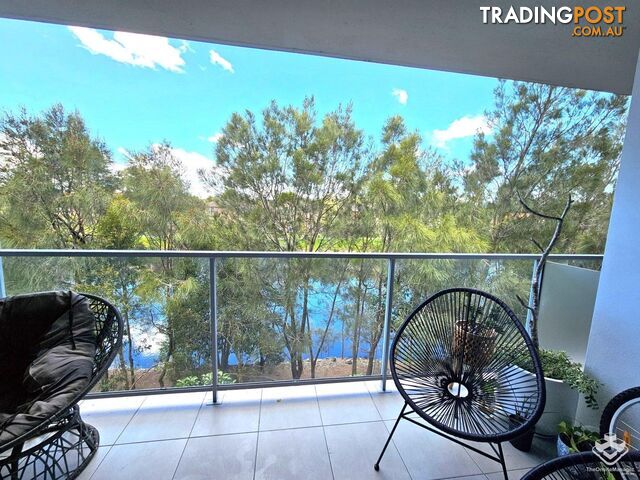 ID:21142299/6-8 Waterford Court Bundall QLD 4217