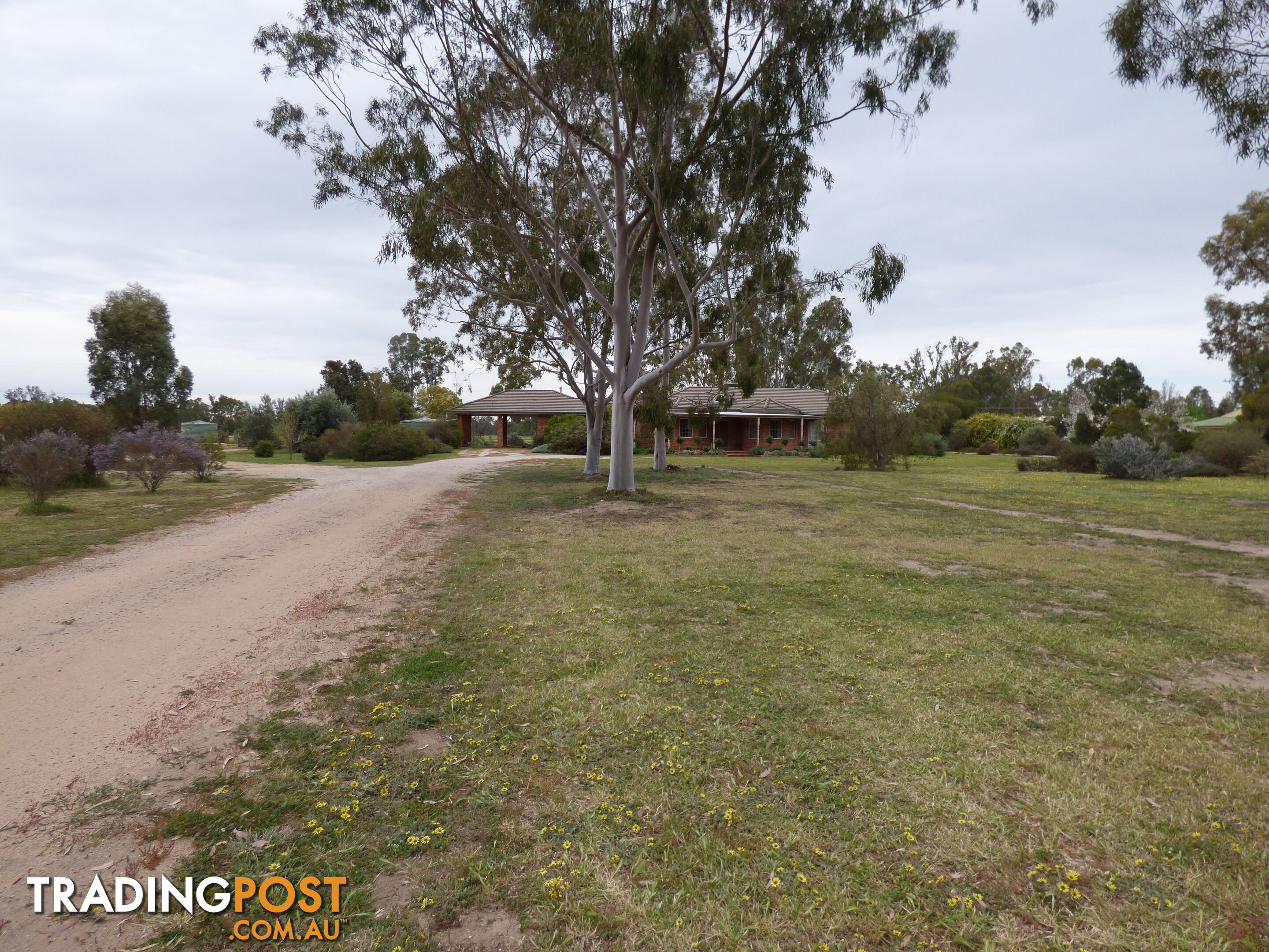 323 East Barham Road BARHAM NSW 2732