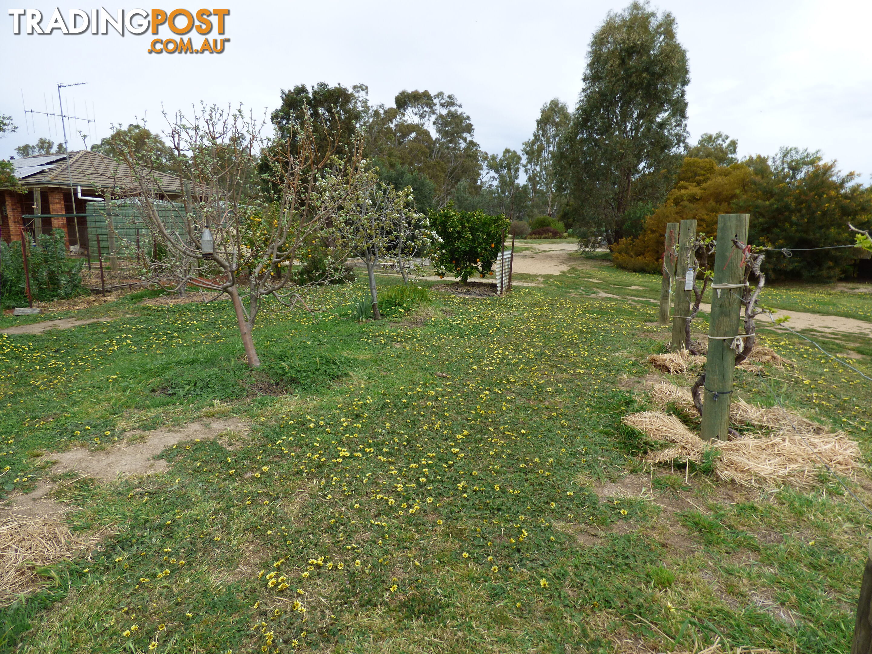 323 East Barham Road BARHAM NSW 2732