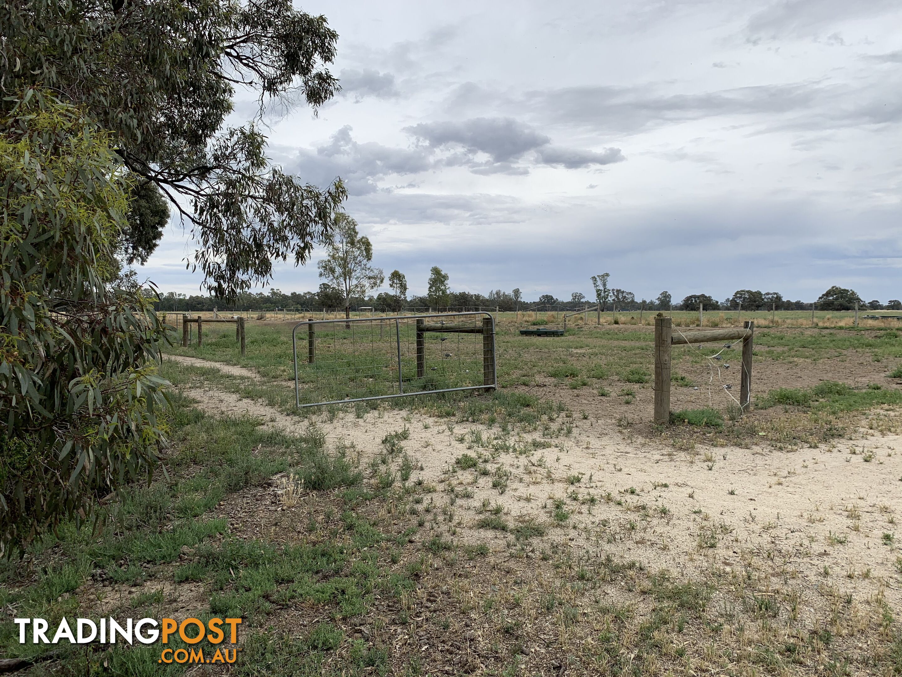 6638 Moulamein Road BARHAM NSW 2732