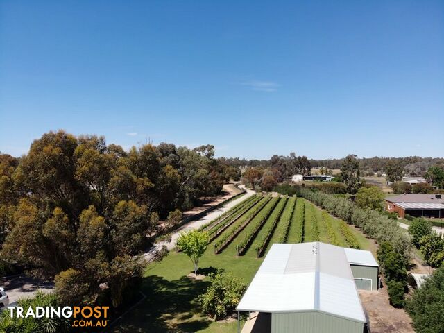 153 East Barham Road BARHAM NSW 2732