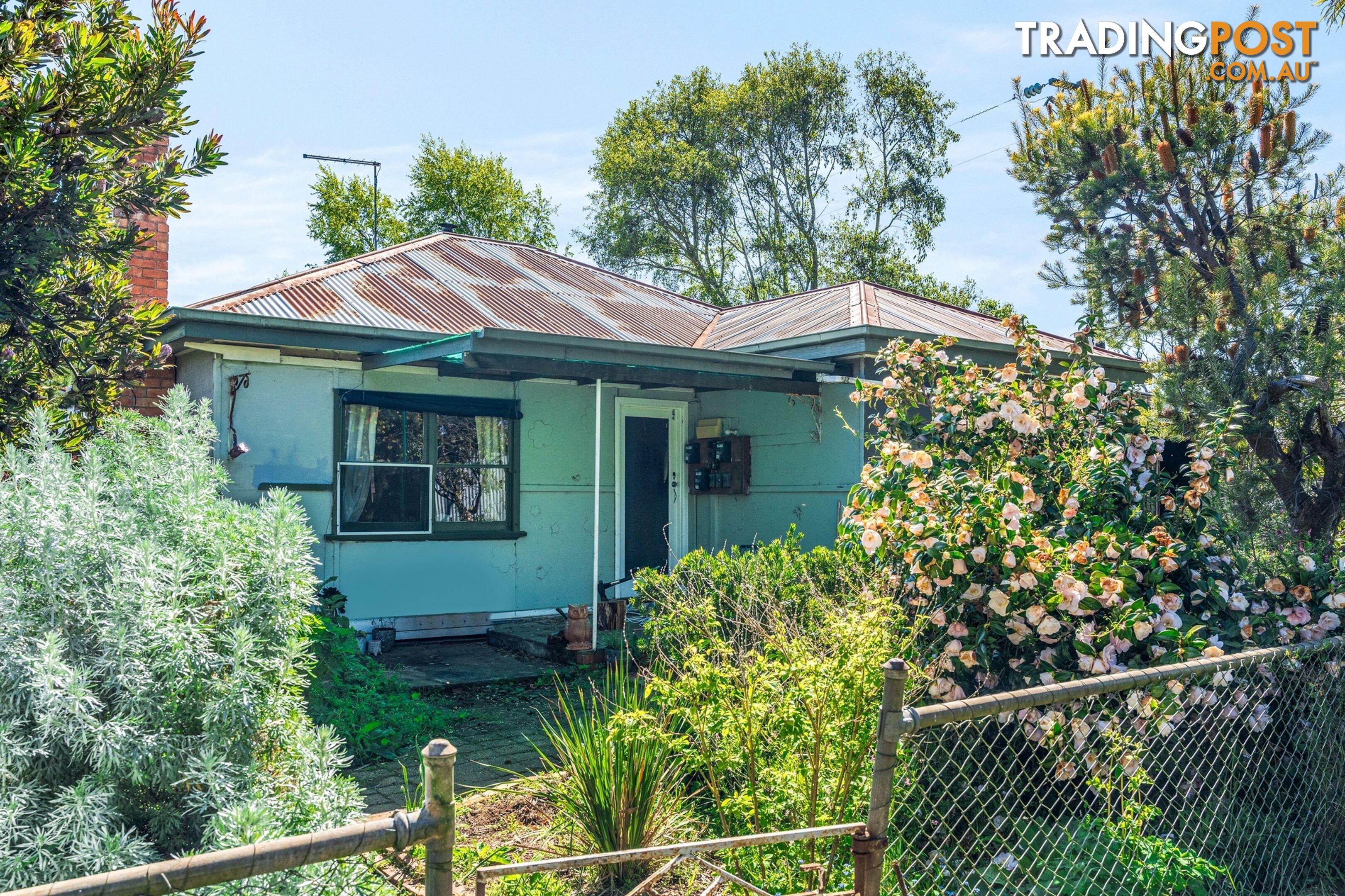 10 Barhams Road MUSK VIC 3461