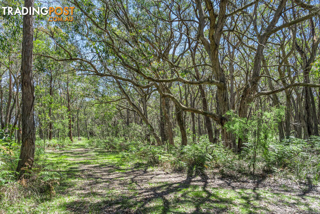 10 Holloways Road WENSLEYDALE VIC 3241 - photo 5 of 9