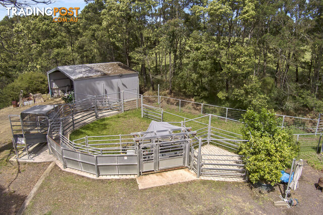 355 Pennyroyal-Wymbodiel Road PENNYROYAL VIC 3235