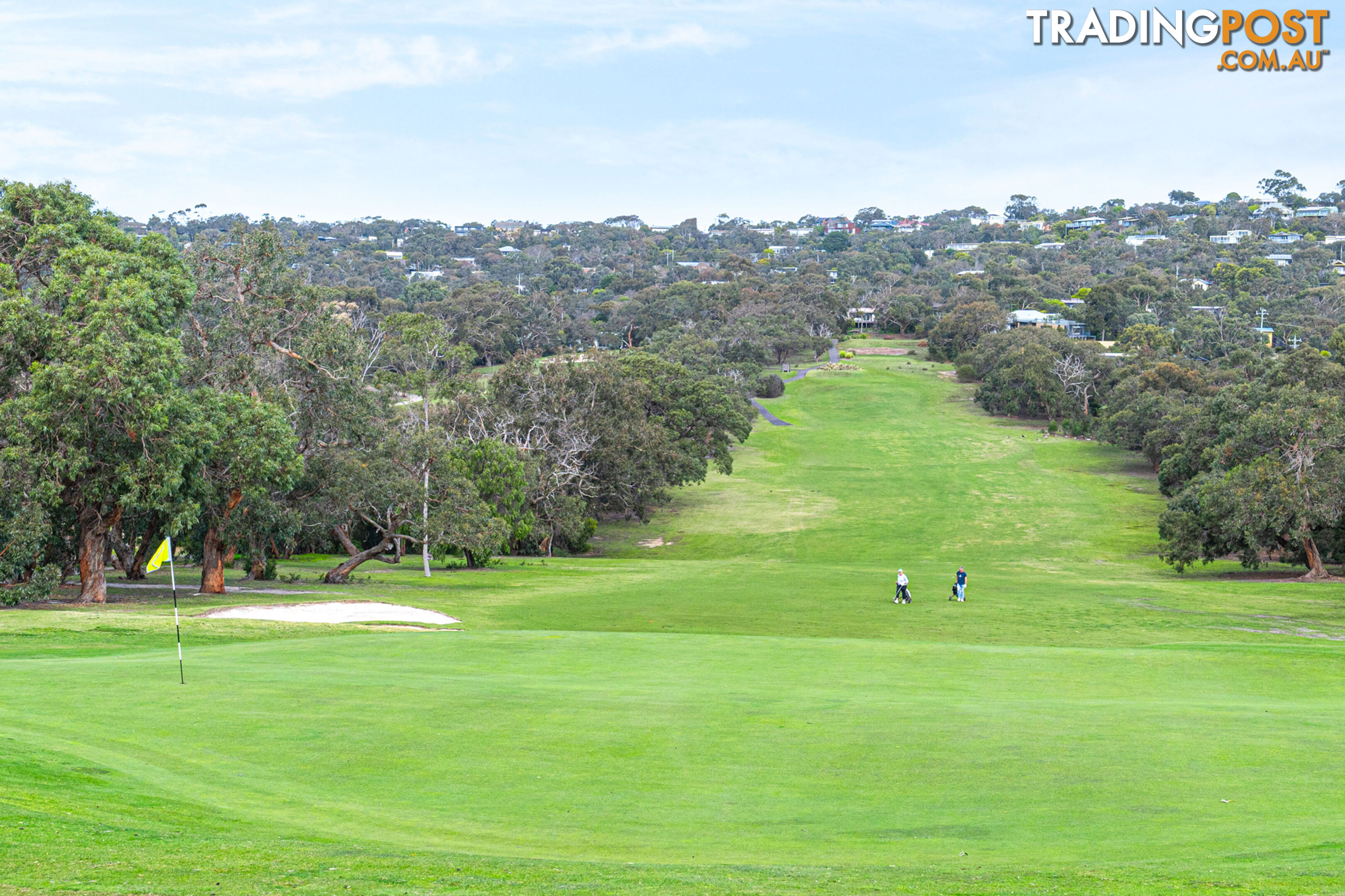 22 Butterworth Crescent ANGLESEA VIC 3230