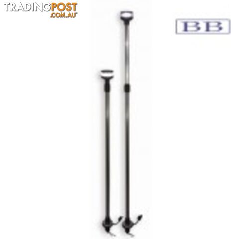 Removable Telescopic LED Pole Light