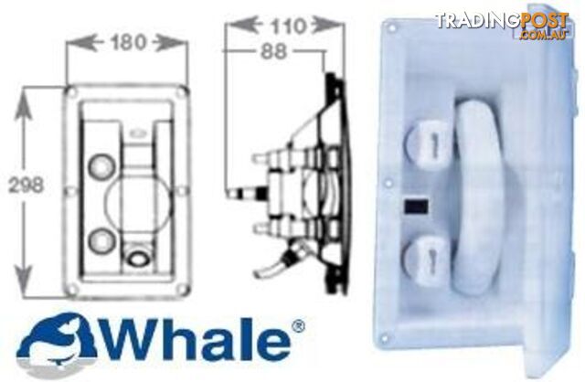 Marine Whale Single Swim-N-Rinse
