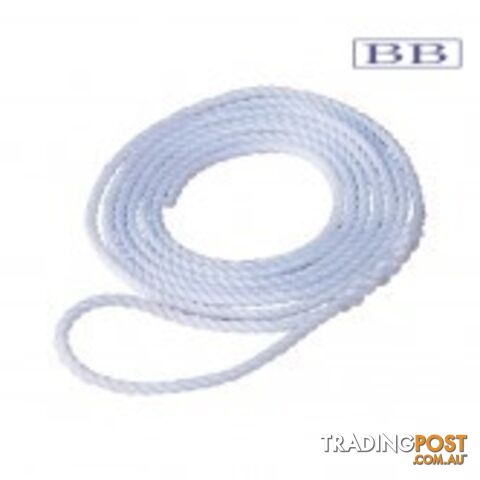 Silver Rope Lanyard