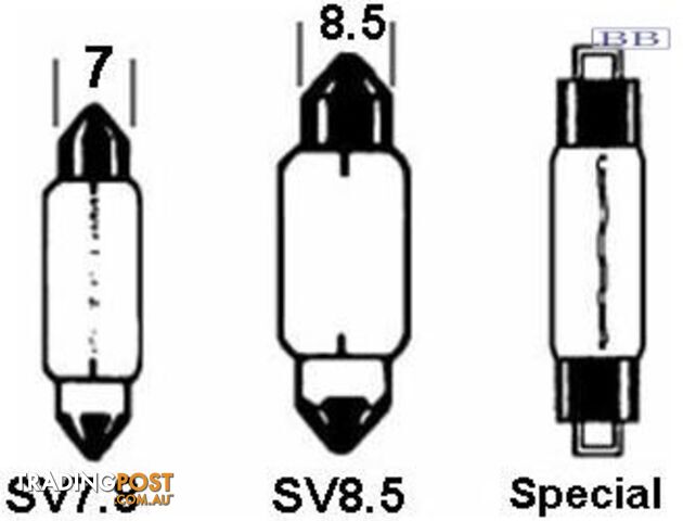 Festoon Bulb 24V 10w