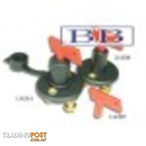 Spare Key for Battery Switch, (Without Boot)