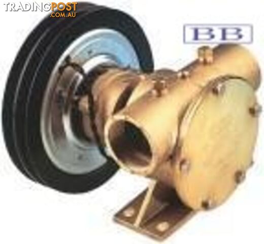 Jabsco pumps J50-140 Clutch Pumps 1äó BSP 12v  50080-2201 50080-2301  50080-2001  50080-2101
