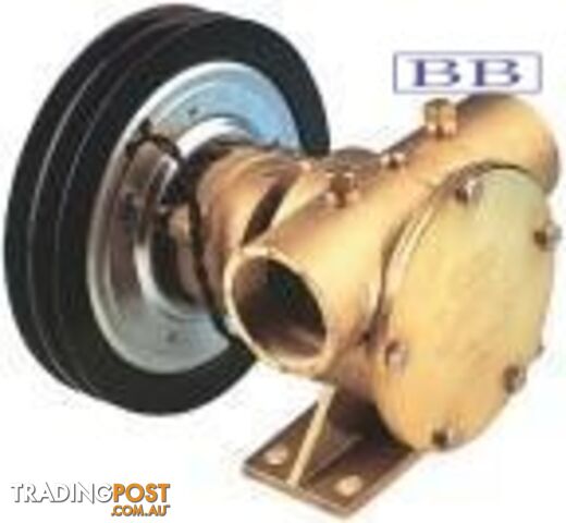 Jabsco pumps J50-140 Clutch Pumps 1äó BSP 12v  50080-2201 50080-2301  50080-2001  50080-2101