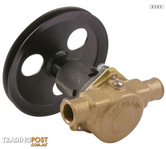 Sherwood G21 pump assy