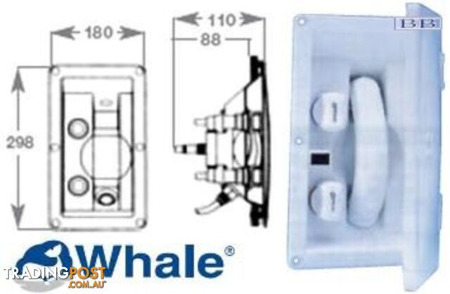 Marine Whale Mixer Swim-N-Rinse