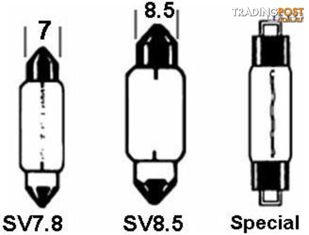 Festoon Bulb 12V 10w