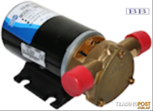 Jabsco pumps Vane Puppy pumps12/24v and Reversable pump12v j40-126 18680-0920...