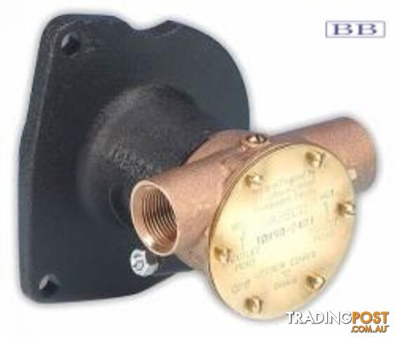 Jabsco pumps 10950 4 cyl Ford with gear 10950-2401