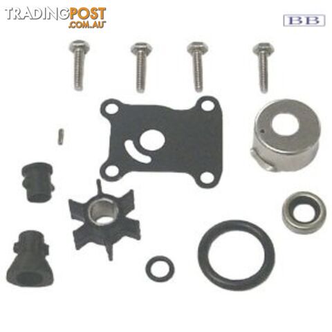 Pump Kit - OMC suits 391698