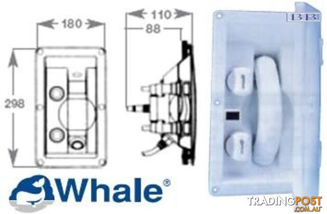 Marine Whale Single Swim-N-Rinse