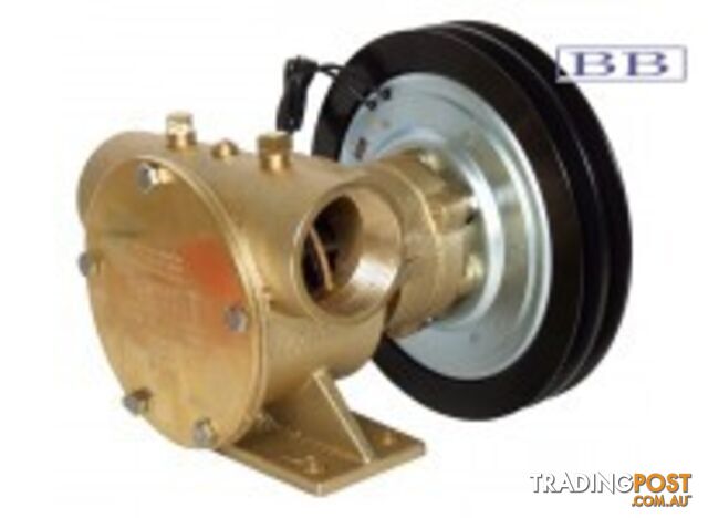 Jabsco 50200-2311 major repair kit.