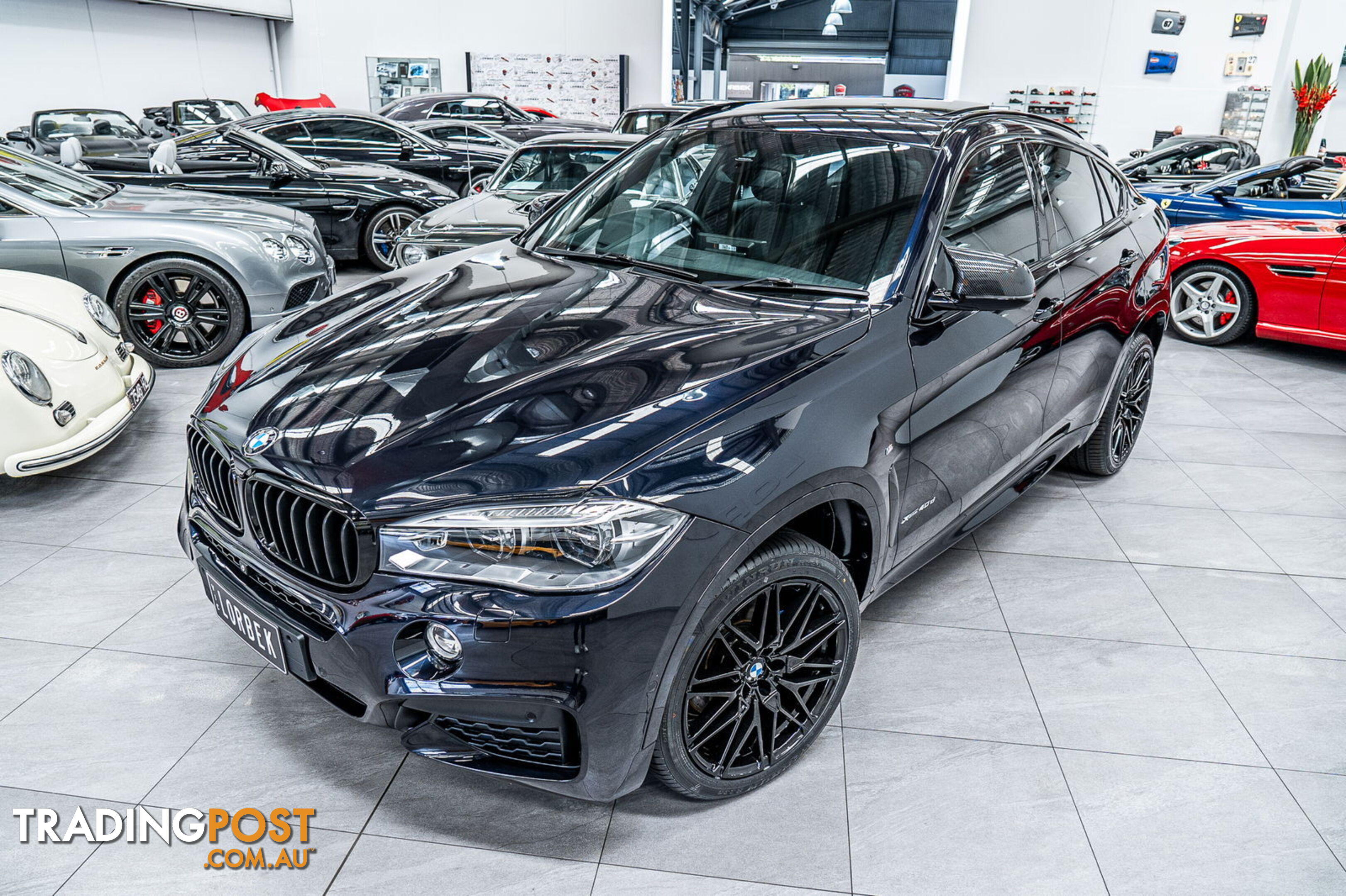 2015 BMW X6 xDrive40d F16