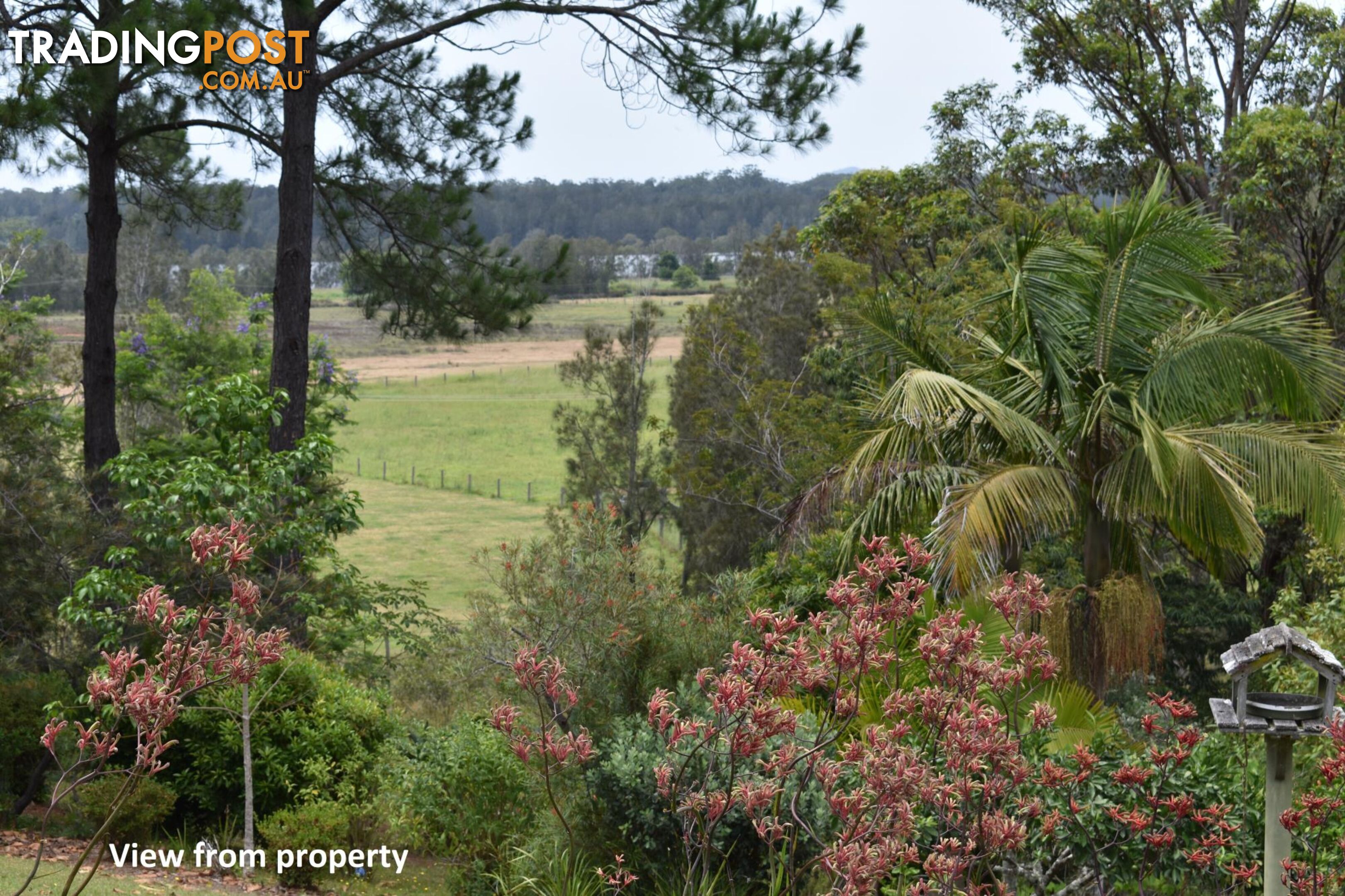 81 Florence Wilmont Drive NAMBUCCA HEADS NSW 2448