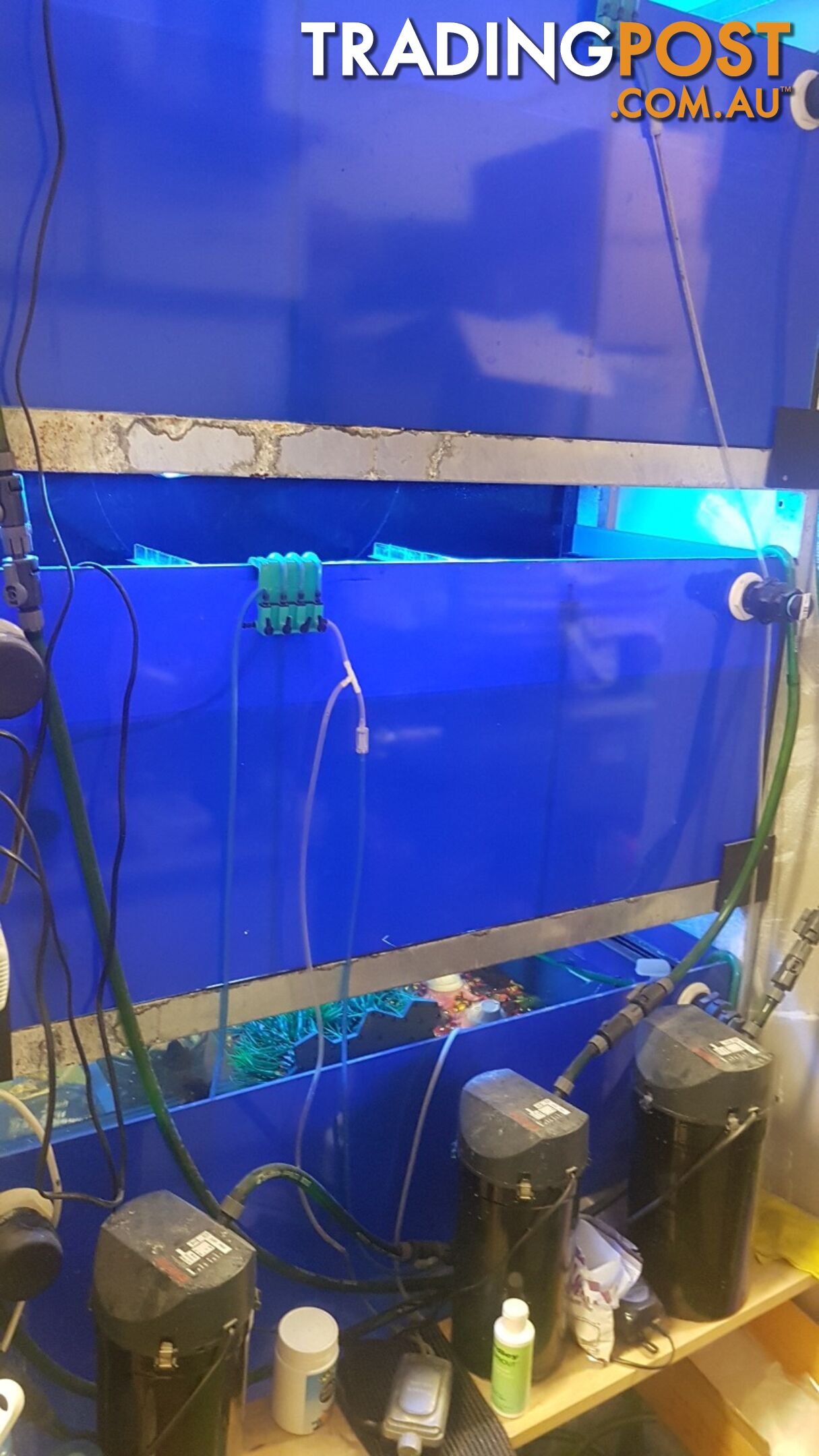 DISPLAY AQUARIUM - 3x 4FT TANKS ON GALVANISED STEEL FRAME, WITH LIGHTS, FILTERS, AND MORE