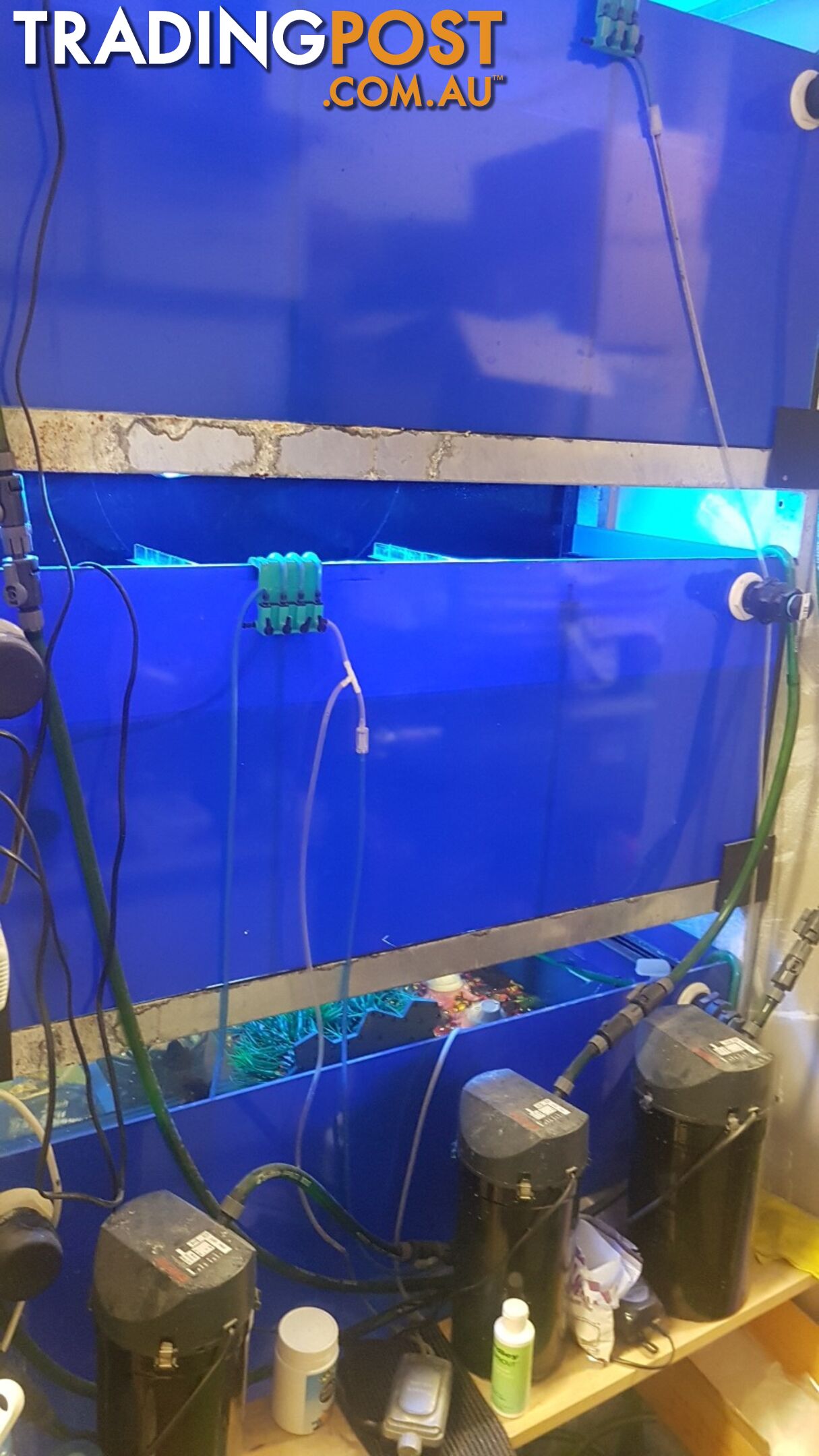 DISPLAY AQUARIUM - 3x 4FT TANKS ON GALVANISED STEEL FRAME, WITH LIGHTS, FILTERS, AND MORE