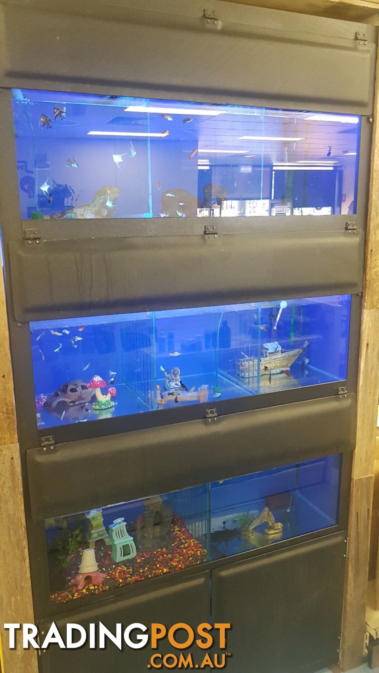 DISPLAY AQUARIUM - 3x 4FT TANKS ON GALVANISED STEEL FRAME, WITH LIGHTS, FILTERS, AND MORE