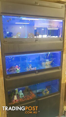 DISPLAY AQUARIUM - 3x 4FT TANKS ON GALVANISED STEEL FRAME, WITH LIGHTS, FILTERS, AND MORE