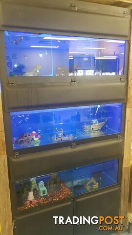 DISPLAY AQUARIUM - 3x 4FT TANKS ON GALVANISED STEEL FRAME, WITH LIGHTS, FILTERS, AND MORE