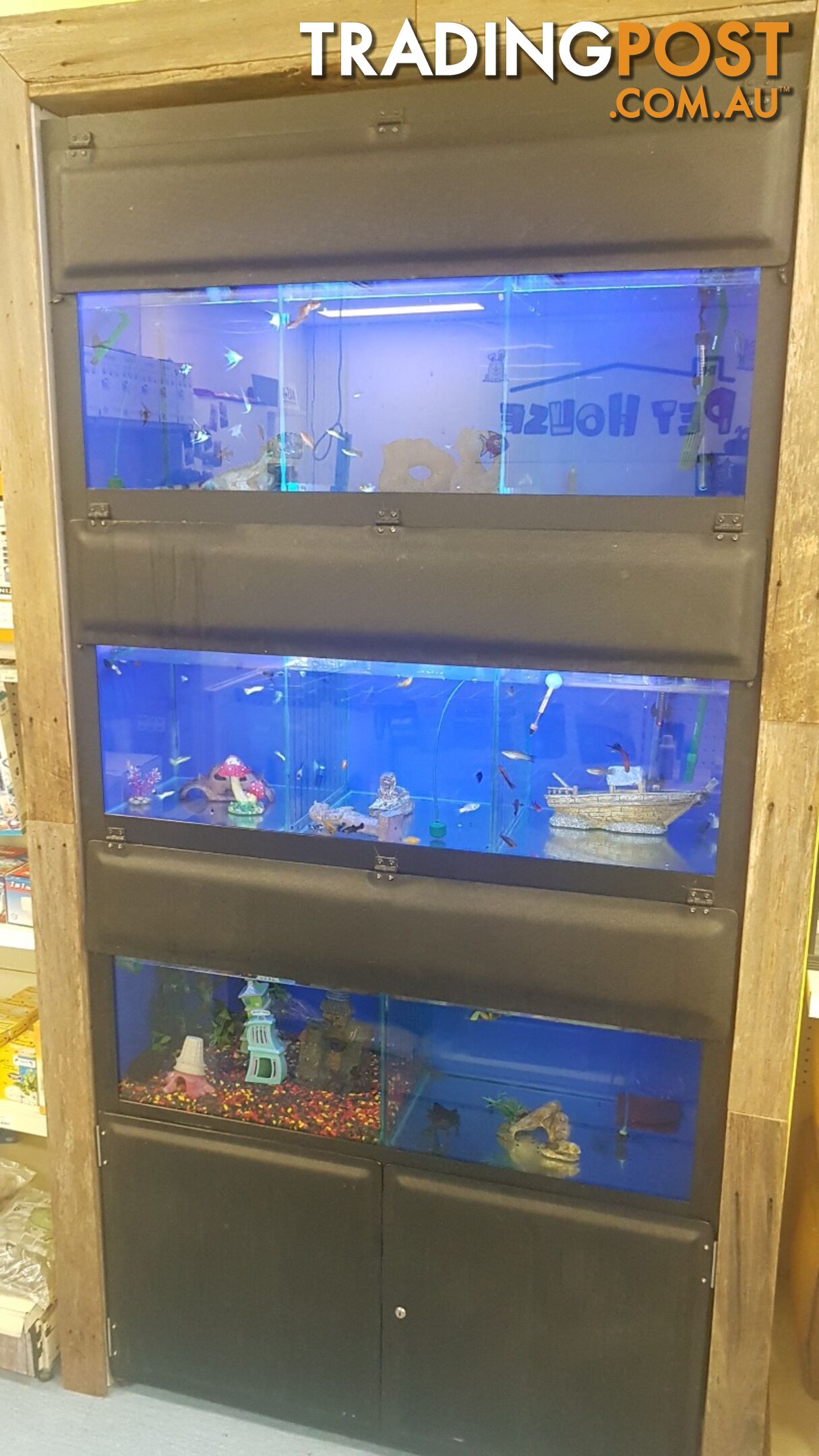 DISPLAY AQUARIUM - 3x 4FT TANKS ON GALVANISED STEEL FRAME, WITH LIGHTS, FILTERS, AND MORE