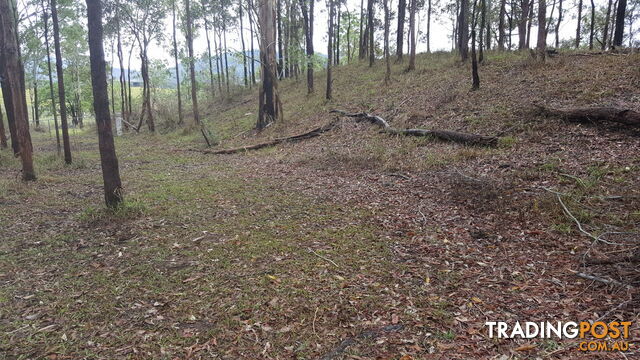 Lot 166 Woods Road DOWS CREEK QLD 4754