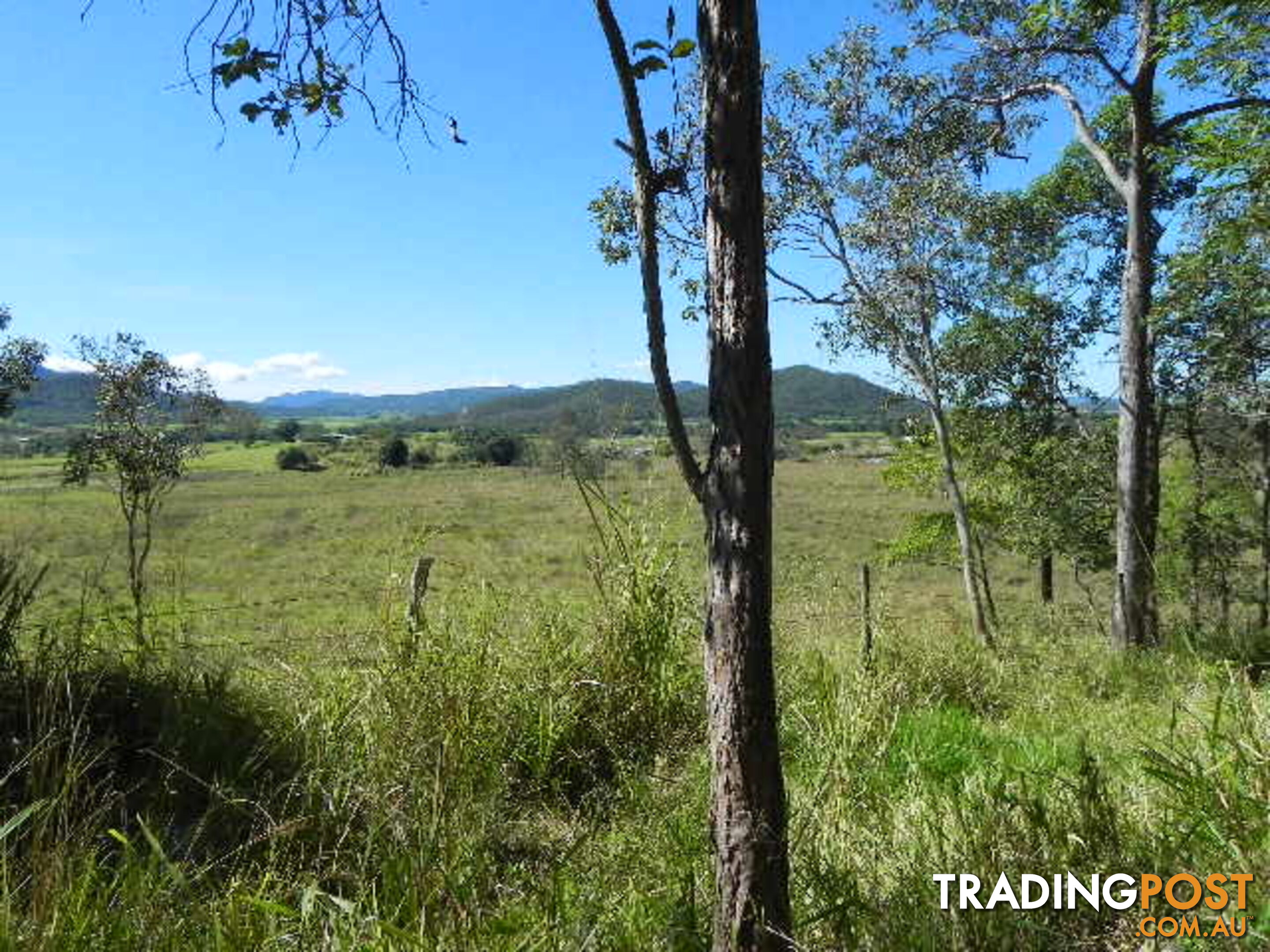 Lot 166 Woods Road DOWS CREEK QLD 4754