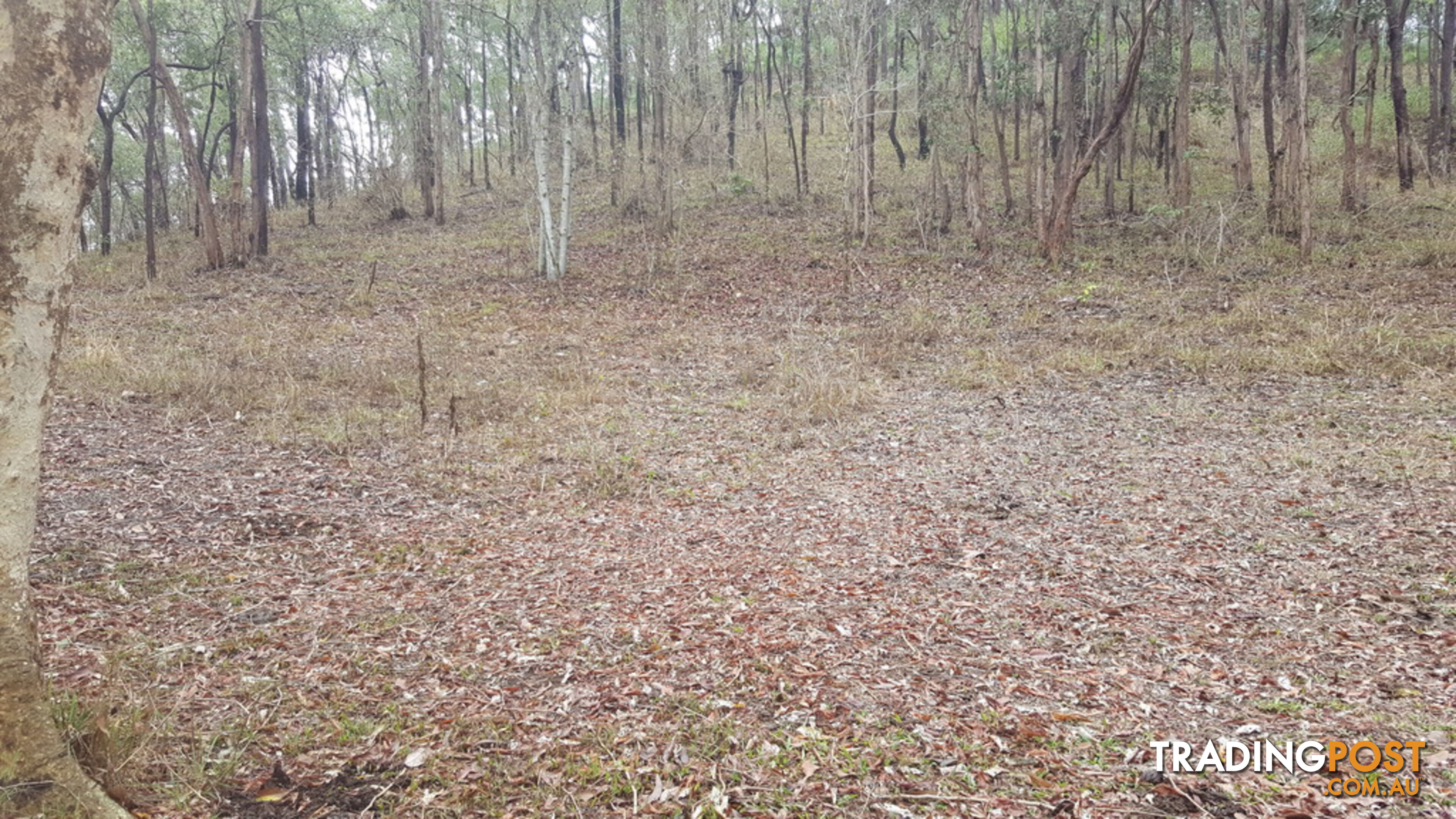 Lot 166 Woods Road DOWS CREEK QLD 4754