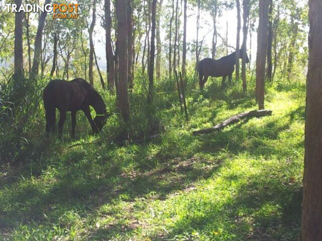 Lot 166 Woods Road DOWS CREEK QLD 4754